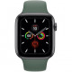 Apple Watch Series 5 (GPS) 44mm Space Gray Aluminum Case with  Green Sport Band (MWT52)