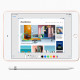 iPad mini 5 Wi-Fi 64GB Silver (MUQX2) 