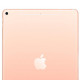 Apple iPad Air 2019 Wi-Fi + Cellular 256GB Gold (MV1G2, MV0Q2)