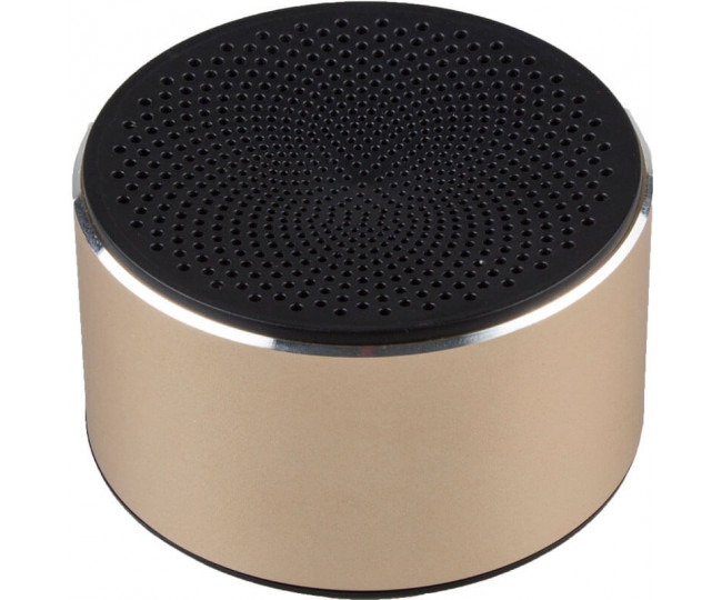 Акустическая система TOTO Bluetooth Speaker mini Gold/Black