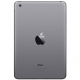 Apple iPad Air 2 16gb Wi-Fi Space Gray (MGL12)