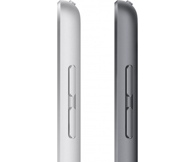iPad 10.2 2021 Wi-Fi 256GB Space Gray (MK2N3) 