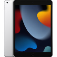 iPad 10.2 2021 Wi-Fi + LTE 256GB Silver (MK6A3) 