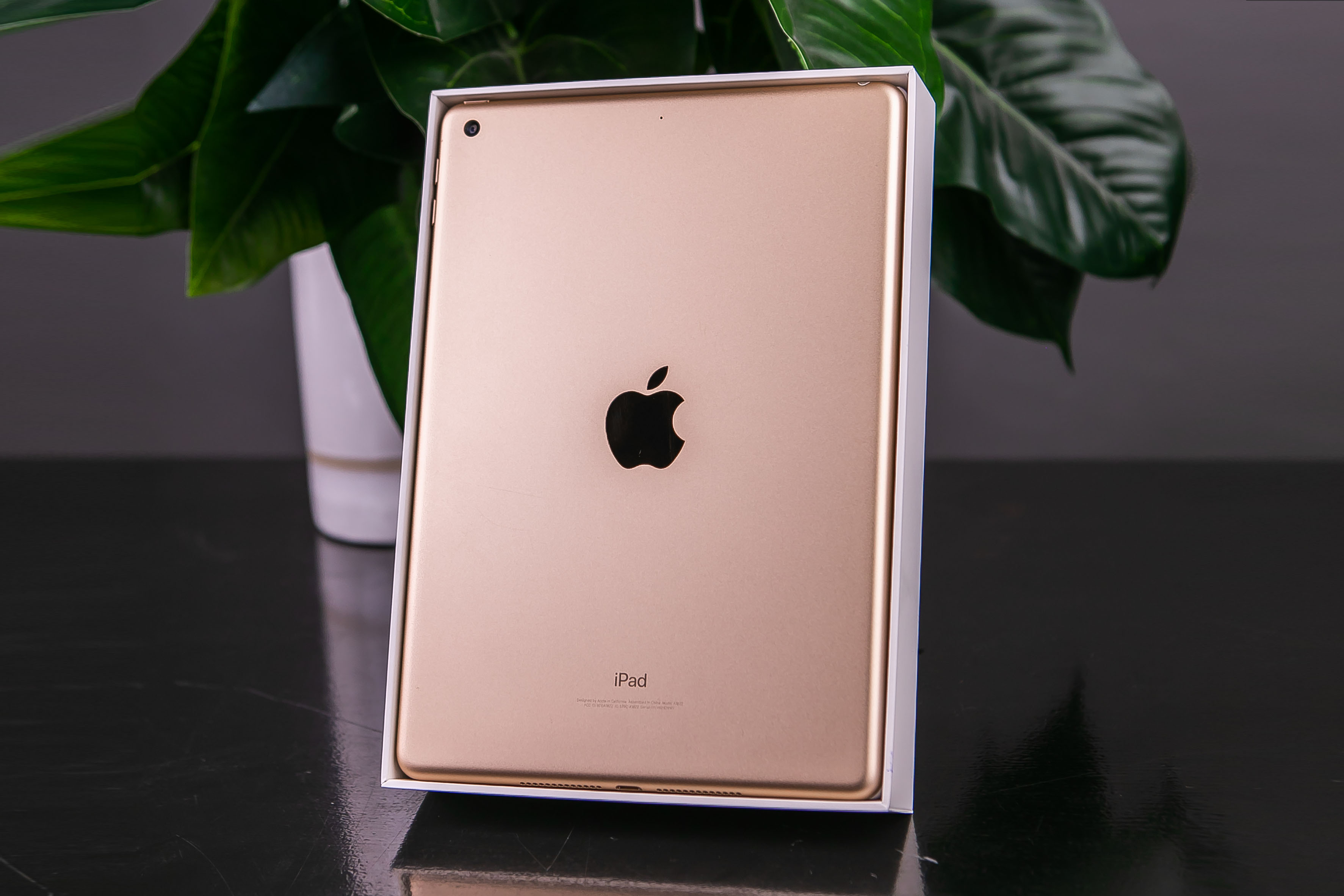 iPad 9.7' (2017)  Wi-Fi, 128gb, Gold б/у