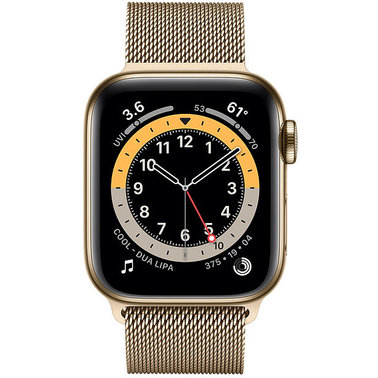 Apple Watch 6 40mm 4G Gold Stainless Steel Case with Gold (M06W3)