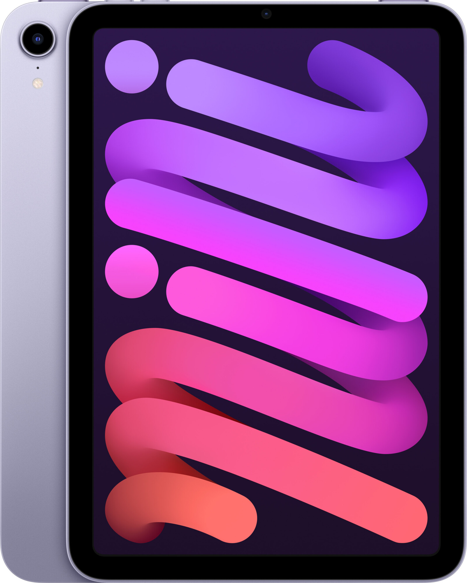 iPad mini 6 Wi-Fi + LTE 256GB Purple (MK8K3) 